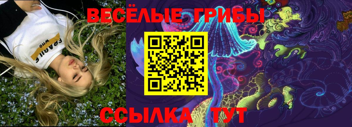 Галлюциногенные грибы ЛСД Озёрск