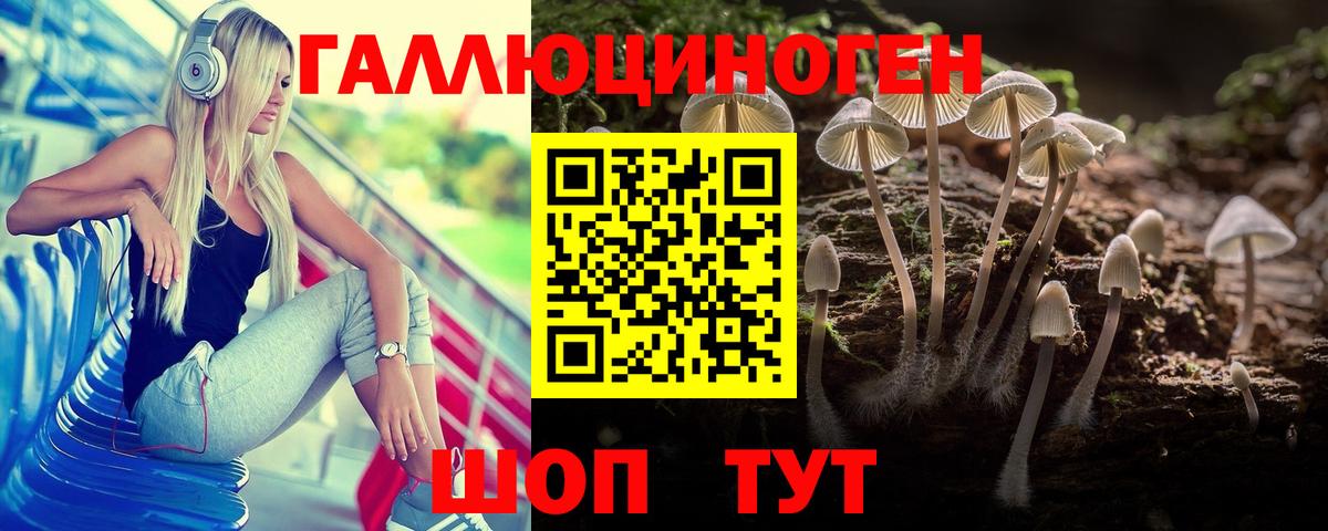 Озёрск  Галлюциногенные грибы Psilocybe  Вход с VPN  Галлюциногенные грибы мухоморы 
